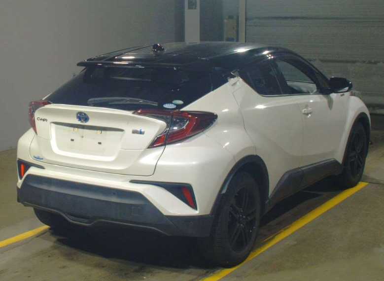 ZYX10-2135631